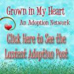 see-adoption-blog-post